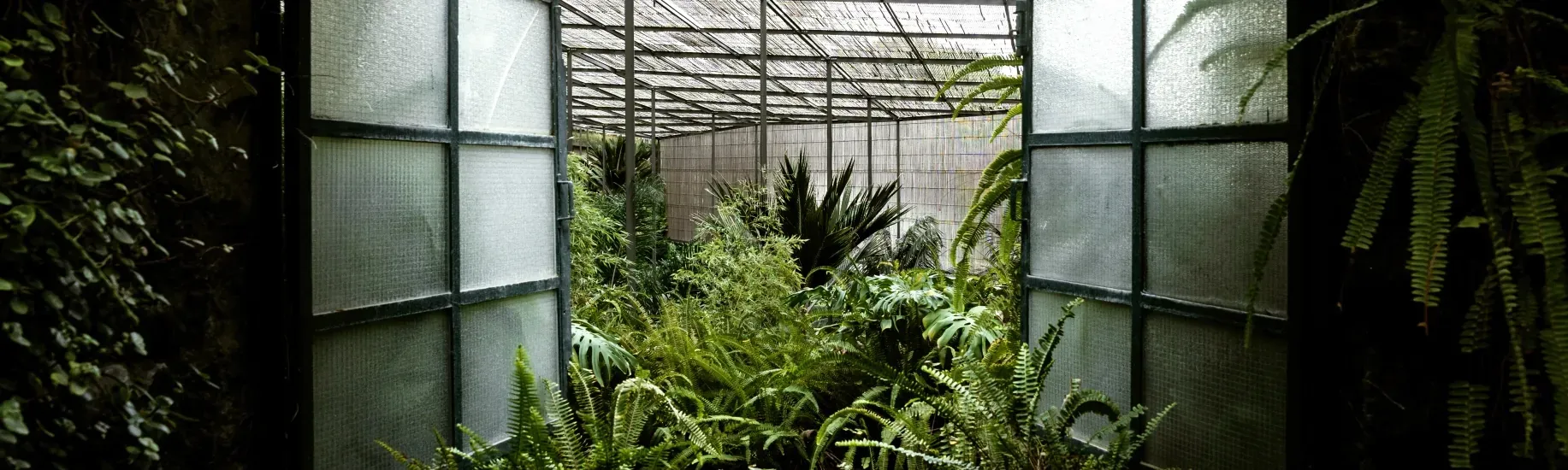 Greenhouse Atelier — slide 3